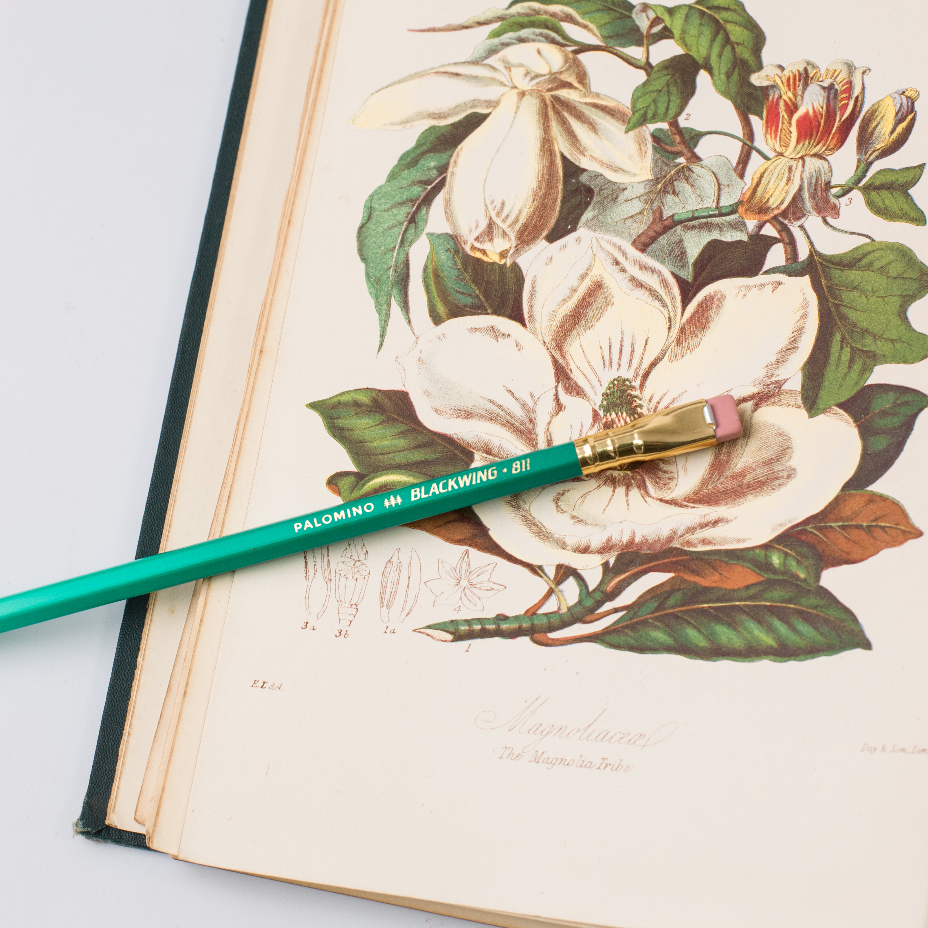 The BEST BLACKWING PENCIL for Drawing + What's Inside My FIRST Blackwing  Volumes Subscription Box! - KAREN CAMPBELL, ARTIST